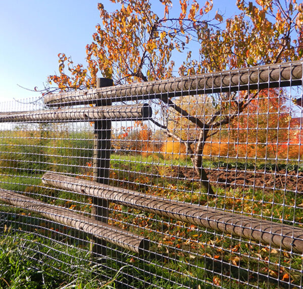 Millennium afzetgaas in een natuurlijke omgeving