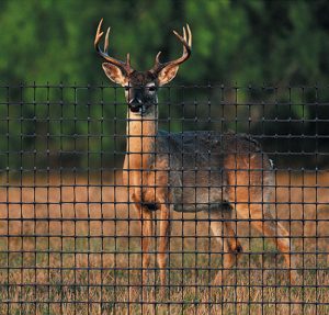 Afzetgaas shield rond een natuurgebied